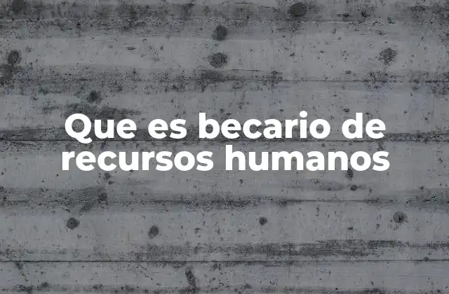 Que es Becario de Recursos Humanos