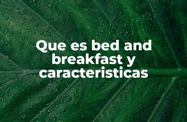 Características distintivas del bed and breakfast