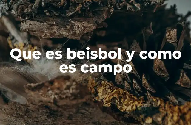 Que es Beisbol y como es Campo