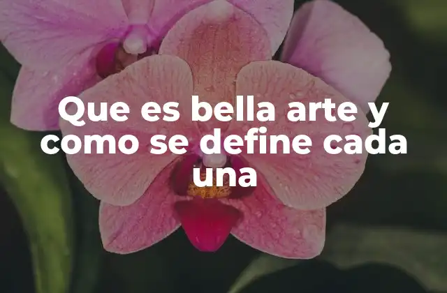 Que es Bella Arte y como Se Define Cada una