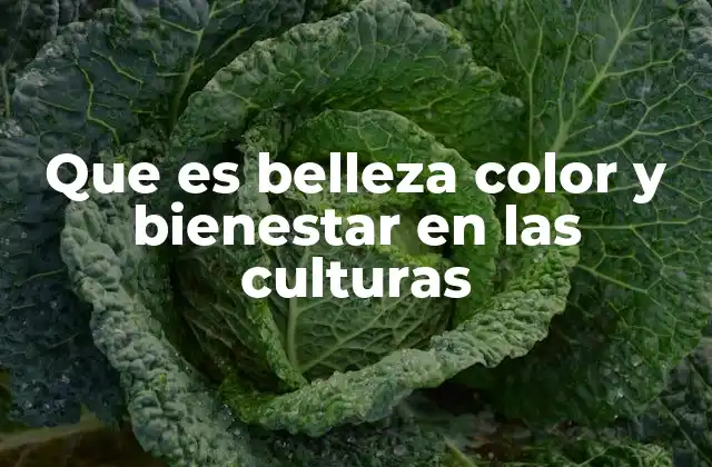 Que es Belleza Color y Bienestar en las Culturas