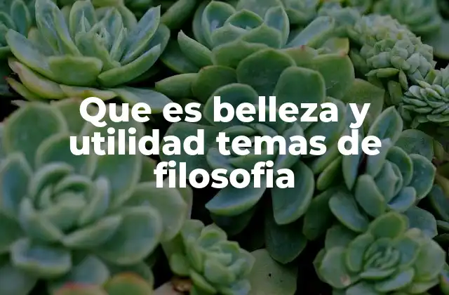 La belleza y la utilidad en el arte y la tecnología