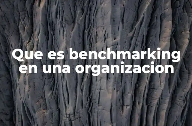 Que es Benchmarking en una Organizacion
