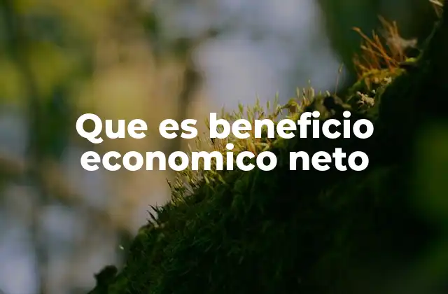 Que es Beneficio Economico Neto