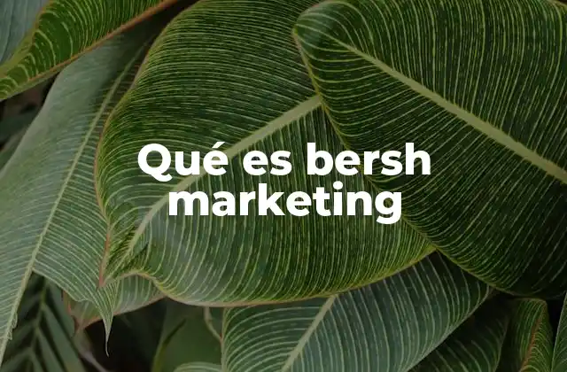 Qué es Bersh Marketing