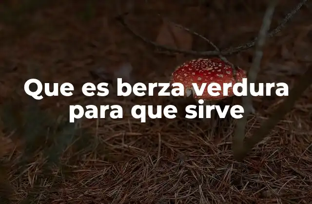 Que es Berza Verdura para que Sirve