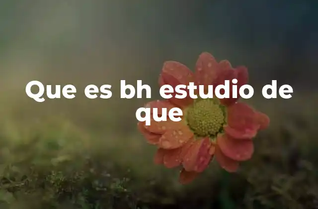 Que es Bh Estudio de que