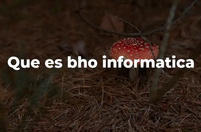 Que es Bho Informatica