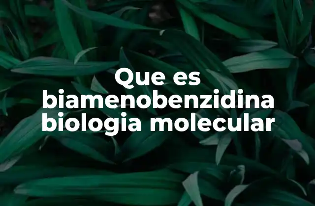 Que es Biamenobenzidina Biologia Molecular