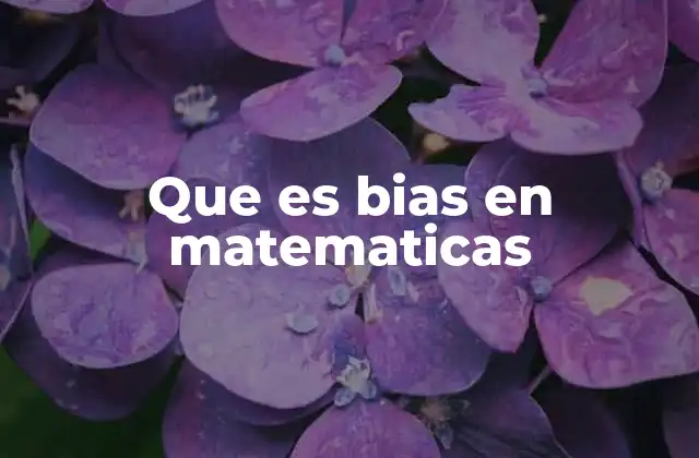 Que es Bias en Matematicas