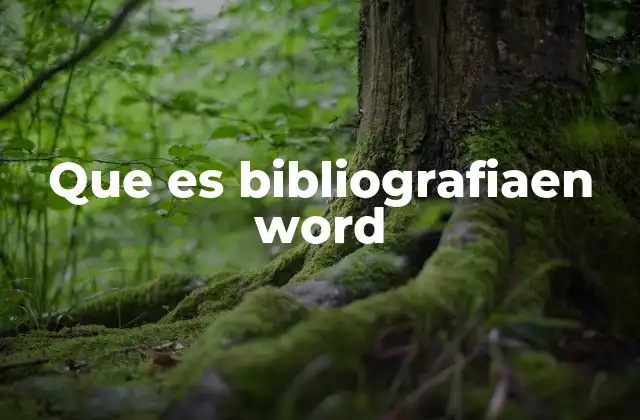 Que es Bibliografiaen Word