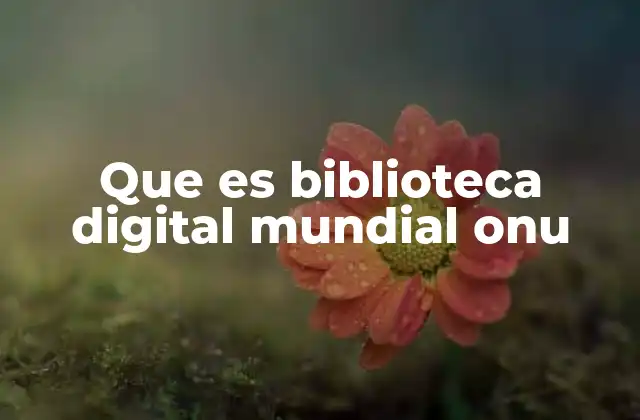 Que es Biblioteca Digital Mundial Onu