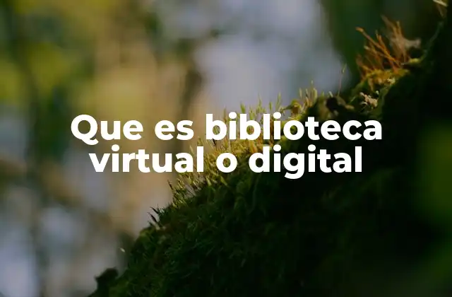 Que es Biblioteca Virtual o Digital