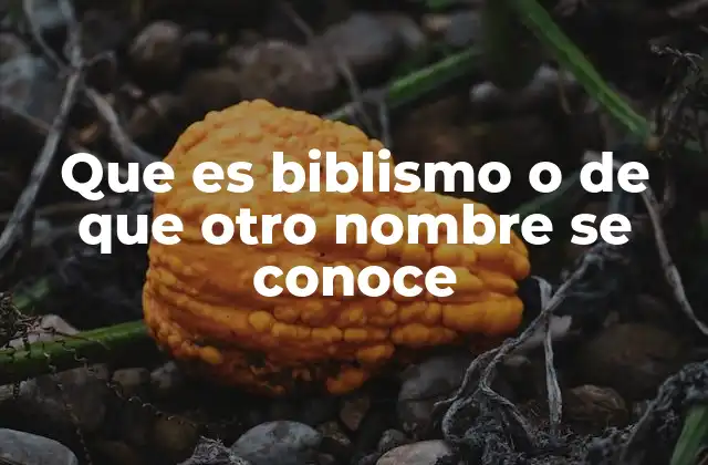 Que es Biblismo o de que Otro Nombre Se Conoce