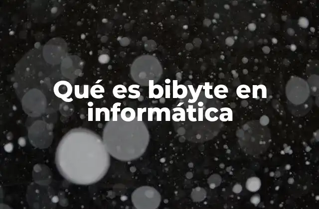 Qué es Bibyte en Informática