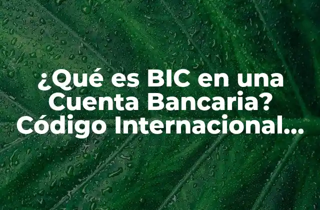 ¿qué es Bic en una Cuenta Bancaria? Código Internacional de Identificación de Banco