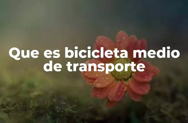 Que es Bicicleta Medio de Transporte