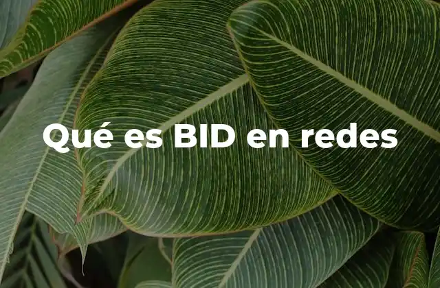 Qué es Bid en Redes