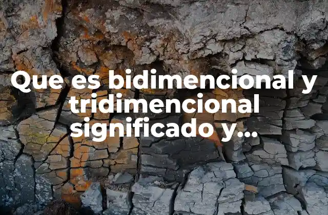 Que es Bidimencional y Tridimencional Significado y Carateristicas