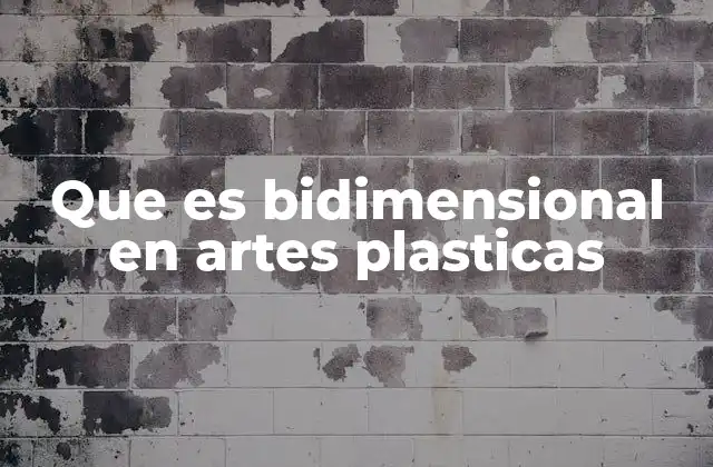 Que es Bidimensional en Artes Plasticas 2 La representación plana en el arte