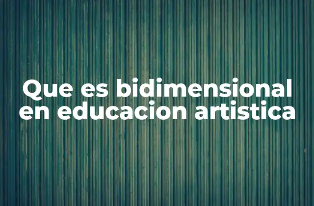 Que es Bidimensional en Educacion Artistica