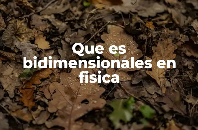 Que es Bidimensionales en Fisica