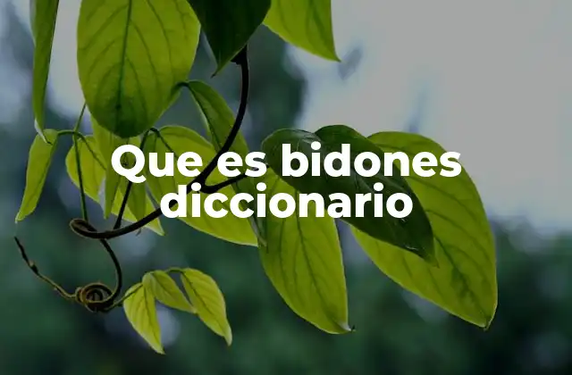Que es Bidones Diccionario