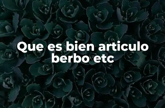 Que es Bien Articulo Berbo Etc