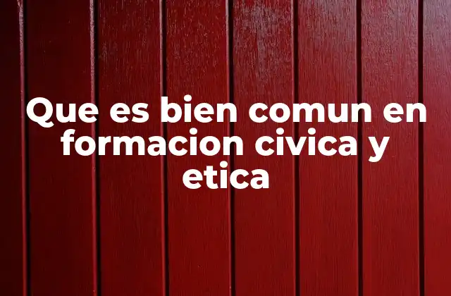 Que es Bien Comun en Formacion Civica y Etica