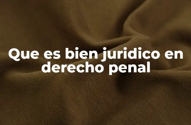 Que es Bien Juridico en Derecho Penal
