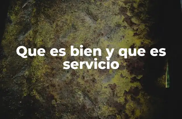 Que es Bien y que es Servicio