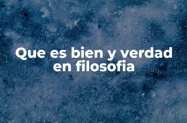 Que es Bien y Verdad en Filosofia