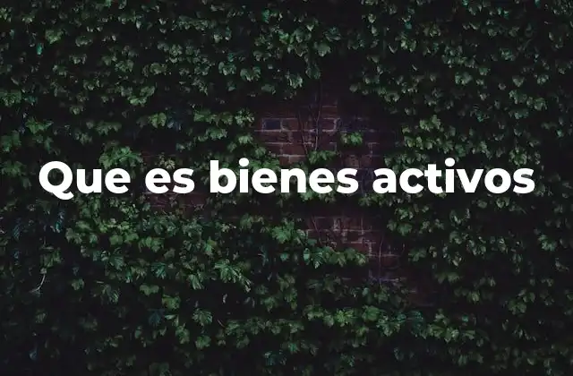 Que es Bienes Activos