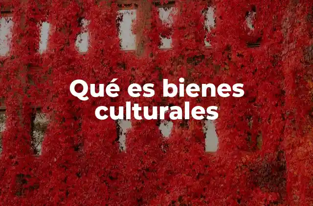 Qué es Bienes Culturales