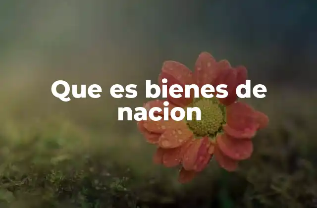 Que es Bienes de Nacion