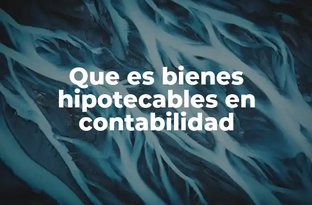 Que es Bienes Hipotecables en Contabilidad 2 El papel de los bienes hipotecables en el sistema financiero