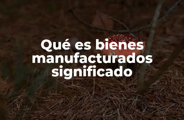 Qué es Bienes Manufacturados Significado
