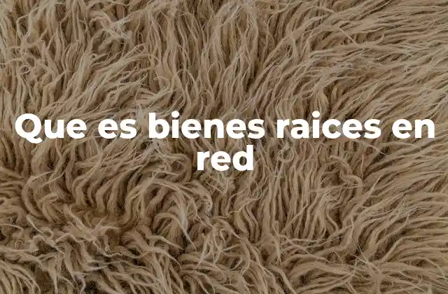 Que es Bienes Raices en Red