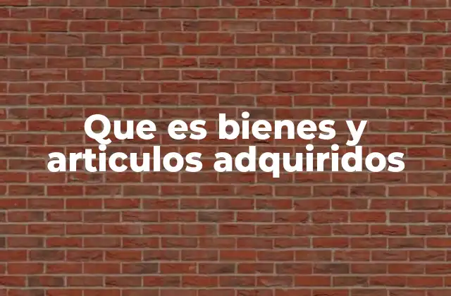 Que es Bienes y Articulos Adquiridos