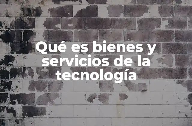 Qué es Bienes y Servicios de la Tecnología