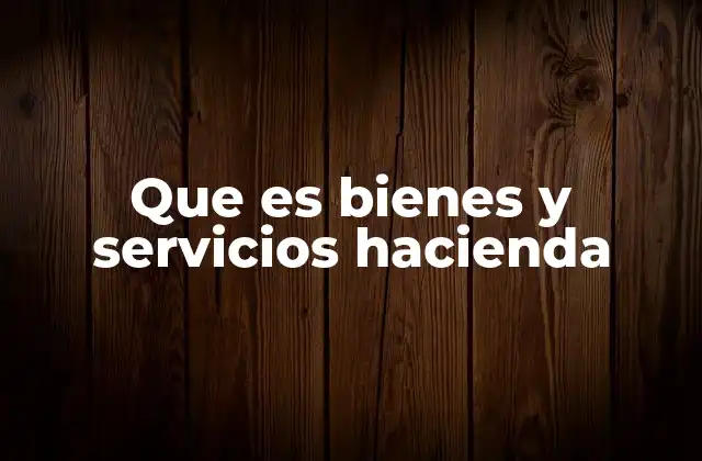 Que es Bienes y Servicios Hacienda