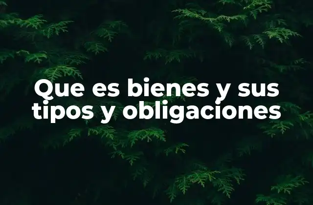 Que es Bienes y Sus Tipos y Obligaciones