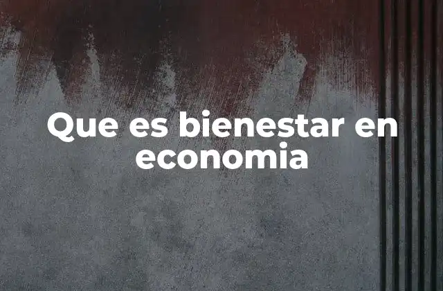 Que es Bienestar en Economia