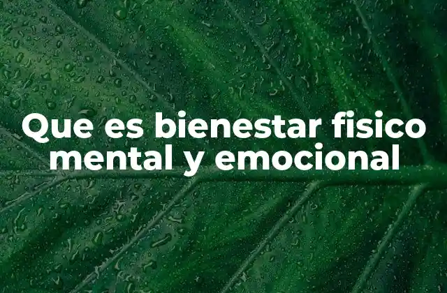 Que es Bienestar Fisico Mental y Emocional