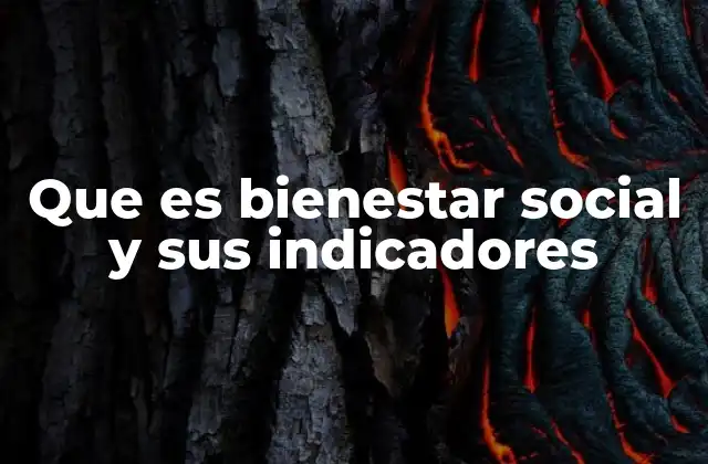 La importancia de los indicadores en la medición del bienestar