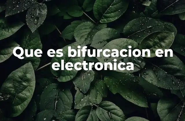 Que es Bifurcacion en Electronica