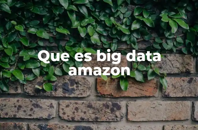 Que es Big Data Amazon
