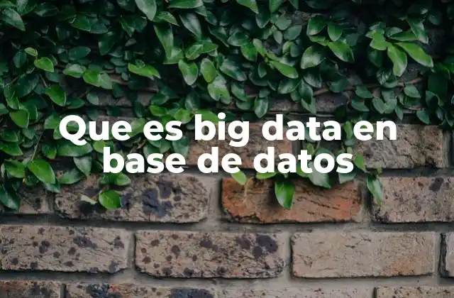 Que es Big Data en Base de Datos