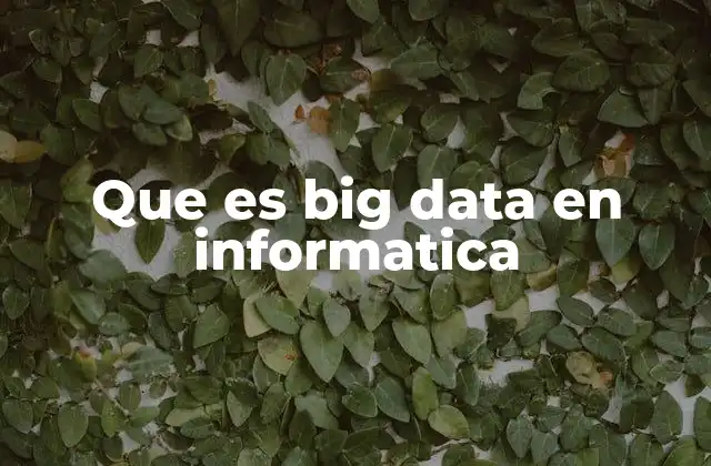 Que es Big Data en Informatica