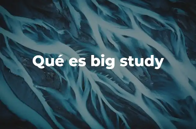 Qué es Big Study